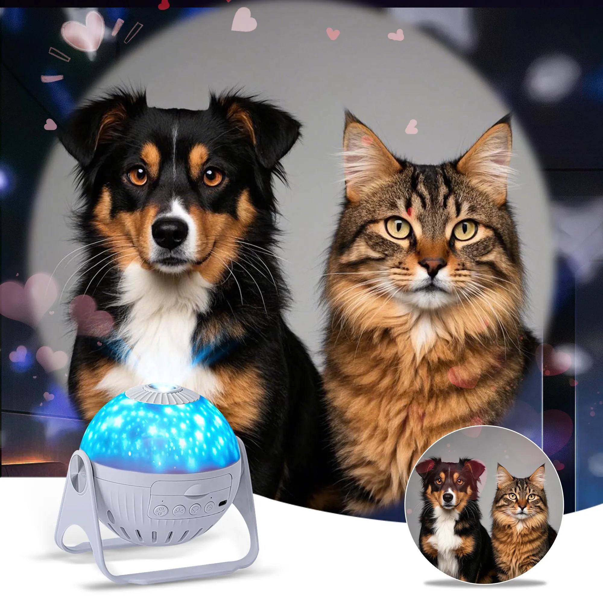 Custom Pet Photo Star Projector Night Light