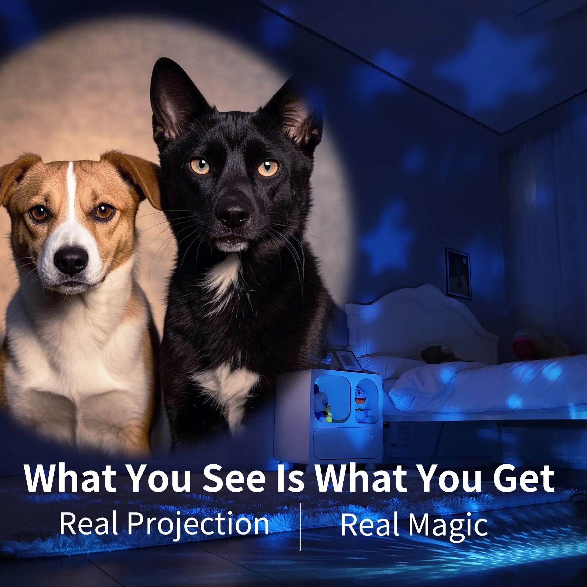 Custom Pet Photo Star Projector Night Light